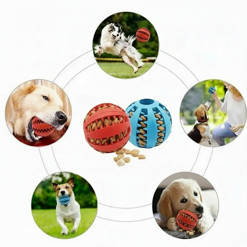 Balle jouet pour chien, balle jouet non toxique et résistante aux morsures pour chiens, chiots et chats.